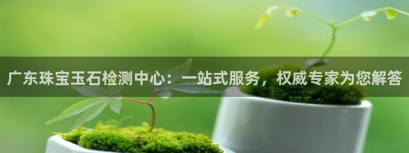 腾耀3娱乐众推8 28:广东珠宝玉石检测中心:一站式服务,权