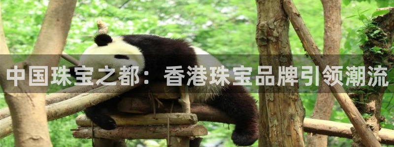 众腾娱乐梦幻演艺店:中国珠宝之都:香港珠宝品牌引领潮流