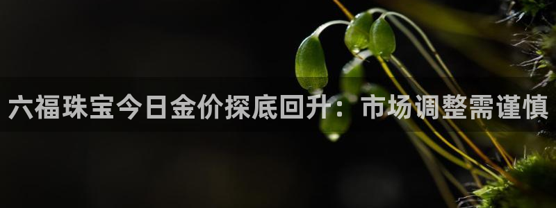 腾众娱乐彩票:六福珠宝今日金价探底回升:市场调整需谨慎
