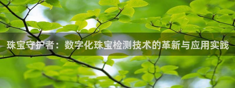 腾耀娱乐29999出众:珠宝守护者:数字化珠宝检测技术的革新
