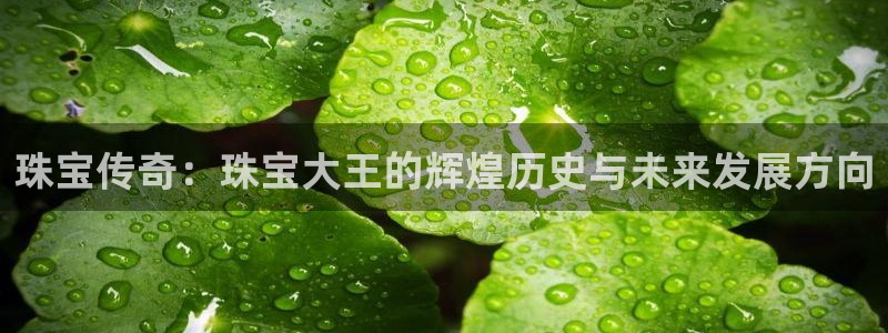 包头众腾娱乐:珠宝传奇:珠宝大王的辉煌历史与未来发展方向