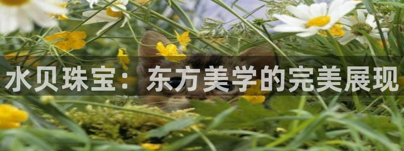 腾众娱乐是个啥:水贝珠宝:东方美学的完美展现