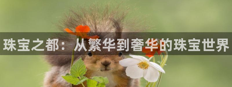 众腾娱乐客服:珠宝之都:从繁华到奢华的珠宝世界
