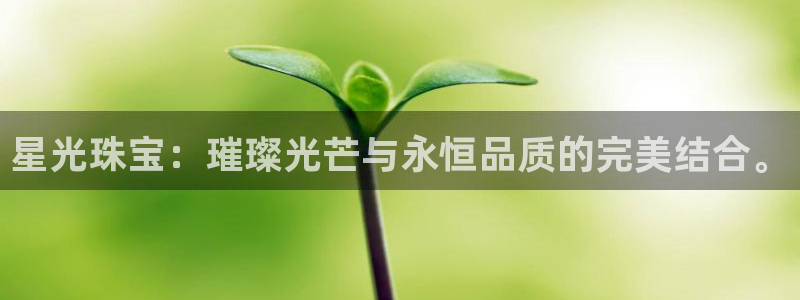 腾耀娱乐众320059:星光珠宝:璀璨光芒与永恒品质的完美结