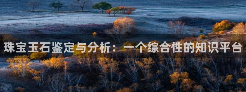 腾耀娱乐29999出众:珠宝玉石鉴定与分析:一个综合性的知识
